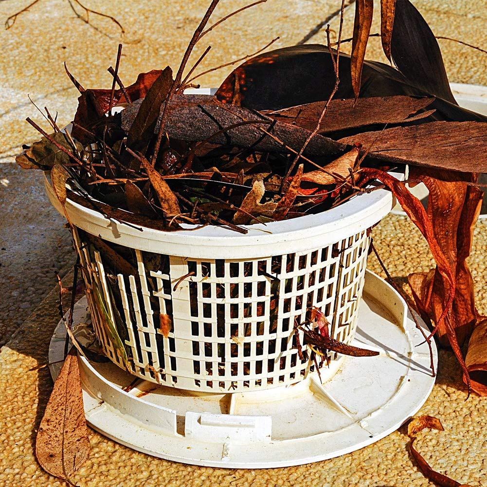 Premium Pool Skimmer Basket - Removable Mini Replacement Filter Strainer for Swimming Pools | Durable Plastic Construction | Easy Maintenance & Cleaning | Perfect for In-Ground & Above-Ground Pool Skimmers (No Handle Included)