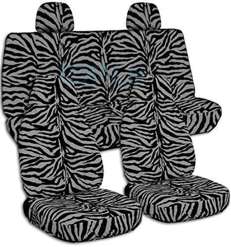 Silver Zebra