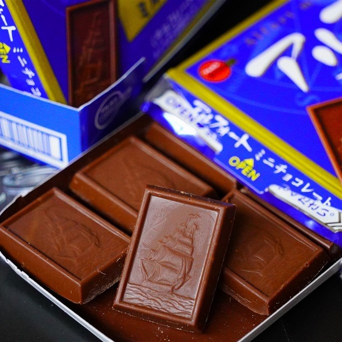 Bourbon Alfort Mini Chocolate Whole Grain Biscuits 12 Pack - Healthy Snack for Kids, Office & Travel - Delicious Japanese Cookies for Tea Time & Gifts