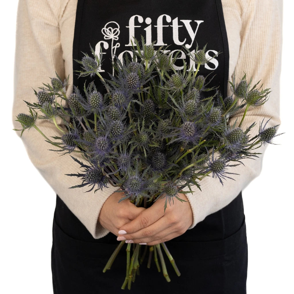 Blue Thistle Flower - Natural Dried Floral Decor for Home, Wedding, and DIY Crafts | Perfect for Bouquets, Centerpieces, and Rustic Decorations