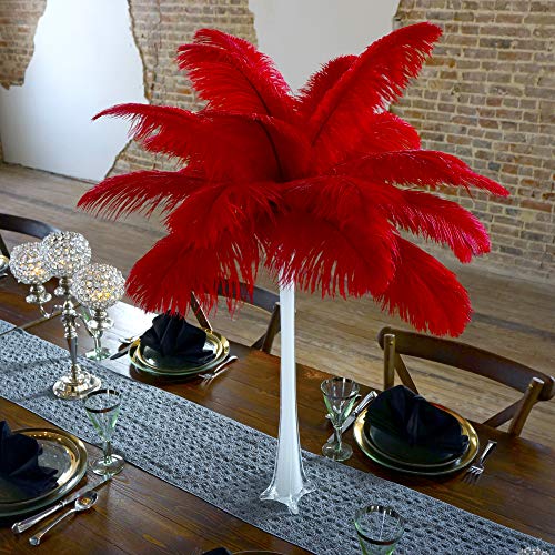 White Vase/Red Feathers