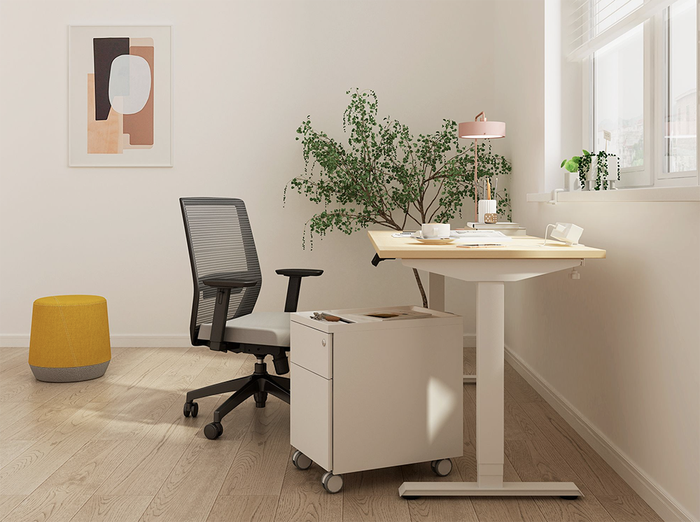Friant Vektor FD00251 Ergonomic Mesh Task Chair - Adjustable Height & Lumbar Support for Office, Home, and Gaming Use