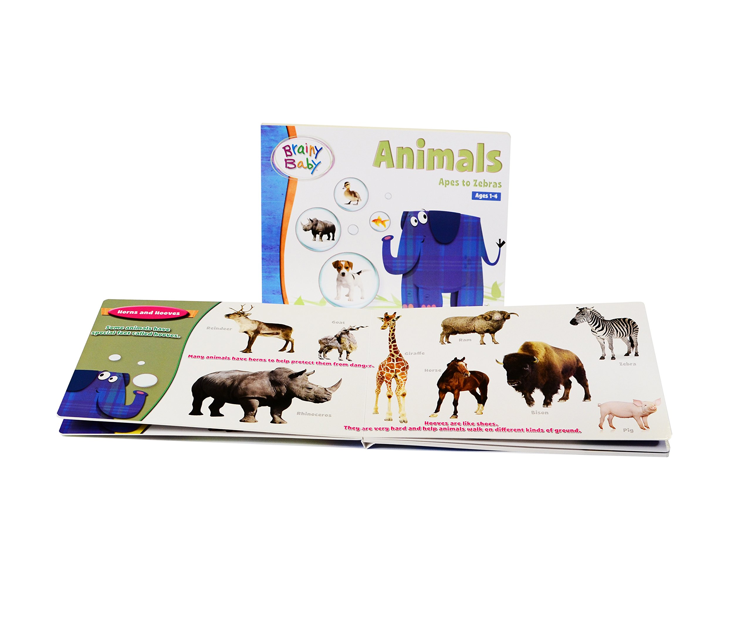 Shapes, Colors & Animals Educational DVD Set with Flashcards, Books & Music CDs - 8-Piece Learning Kit for Toddlers & Preschoolers | Perfect for Homeschooling & Early Childhood Development
