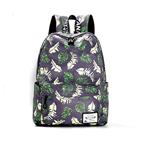 Feuilles D'érable.