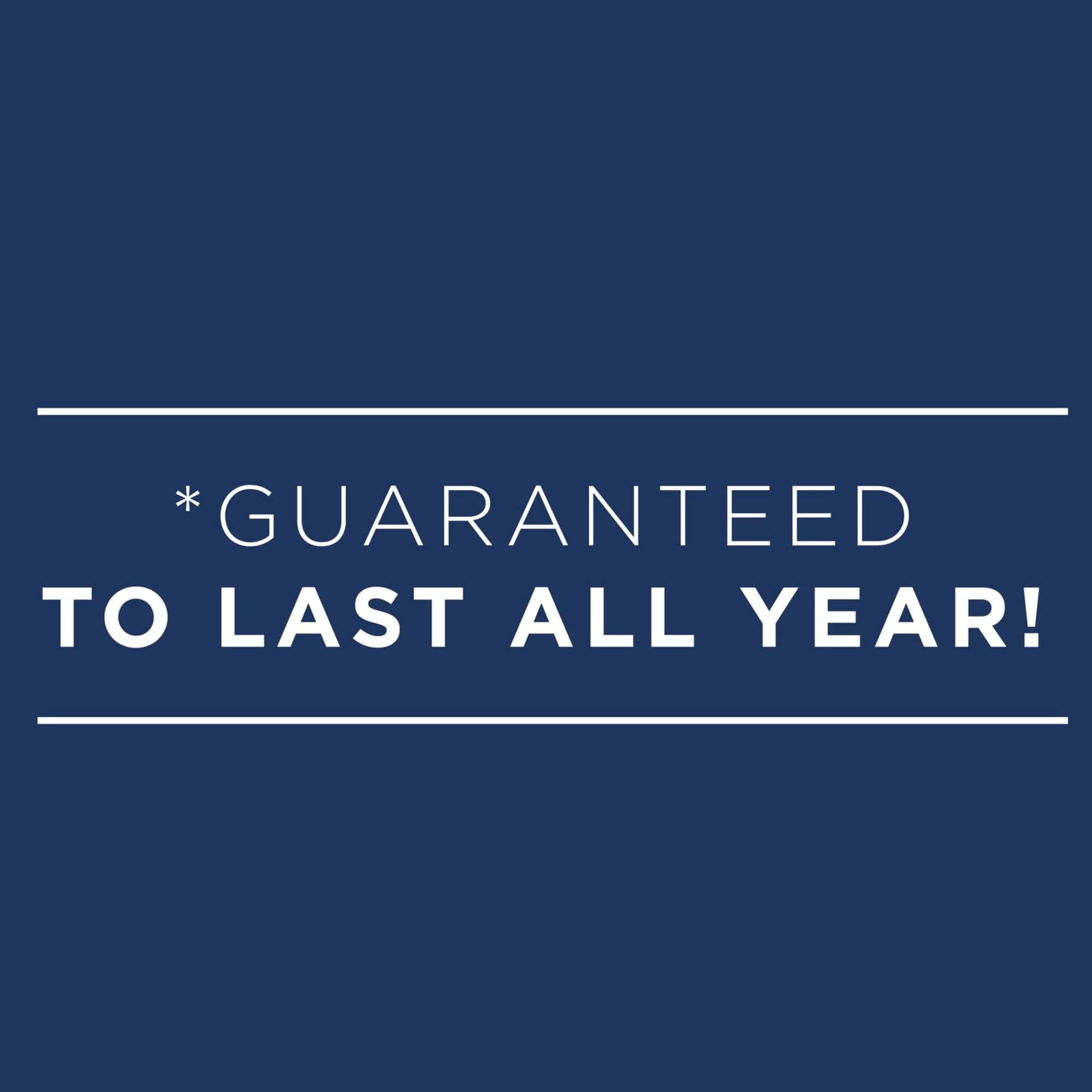AT-A-GLANCE® Harmony 13-Month Weekly/Monthly Planner 2024-2025, 8.5