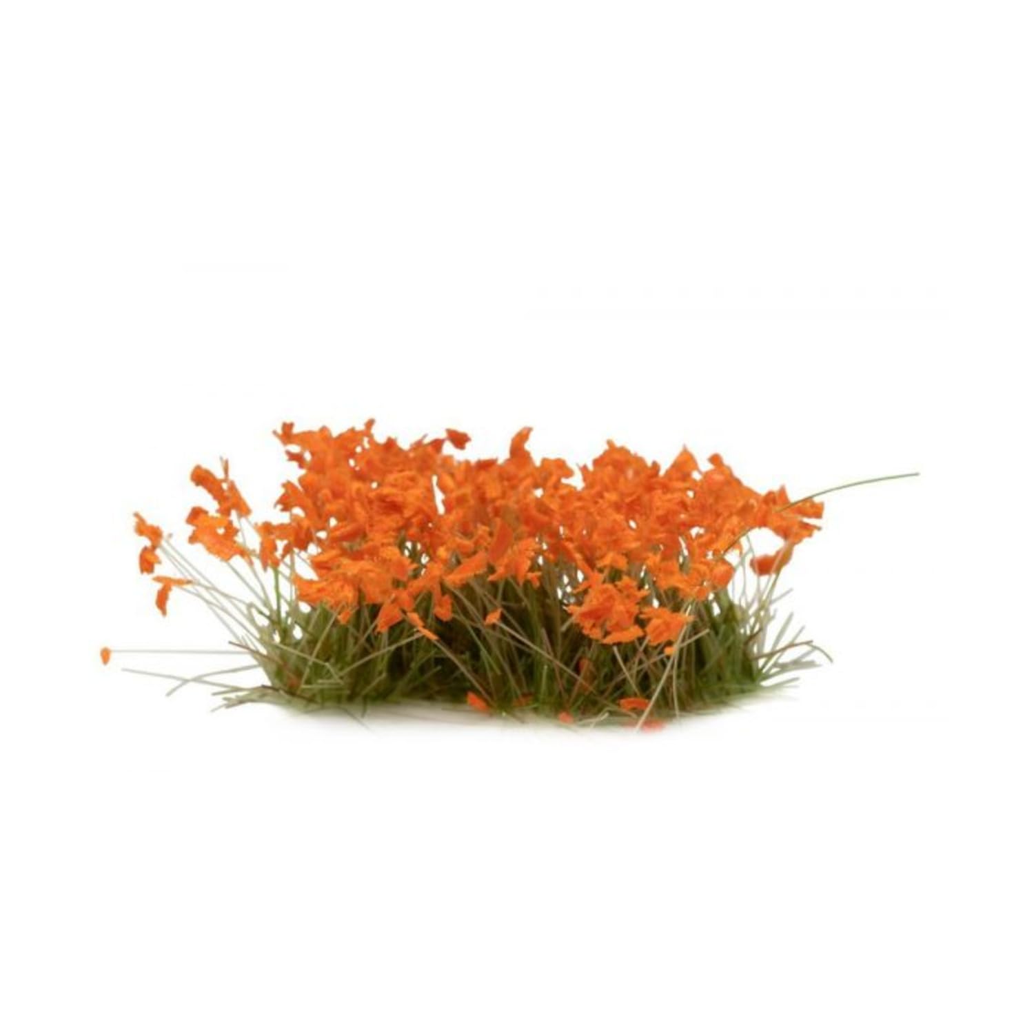 Orange Wild Flowers - Fresh & Vibrant Floral Bouquets for Weddings, Home Decor & Gifts