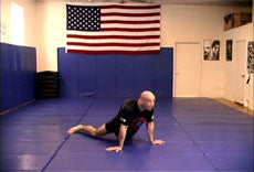 Bas Rutten's MMA Workout DVD - Used Preowned Condition | MMA Training, Fitness & Self-Defense | Perfect for Home Gym, Martial Arts Practice & Combat Sports Enthusiasts