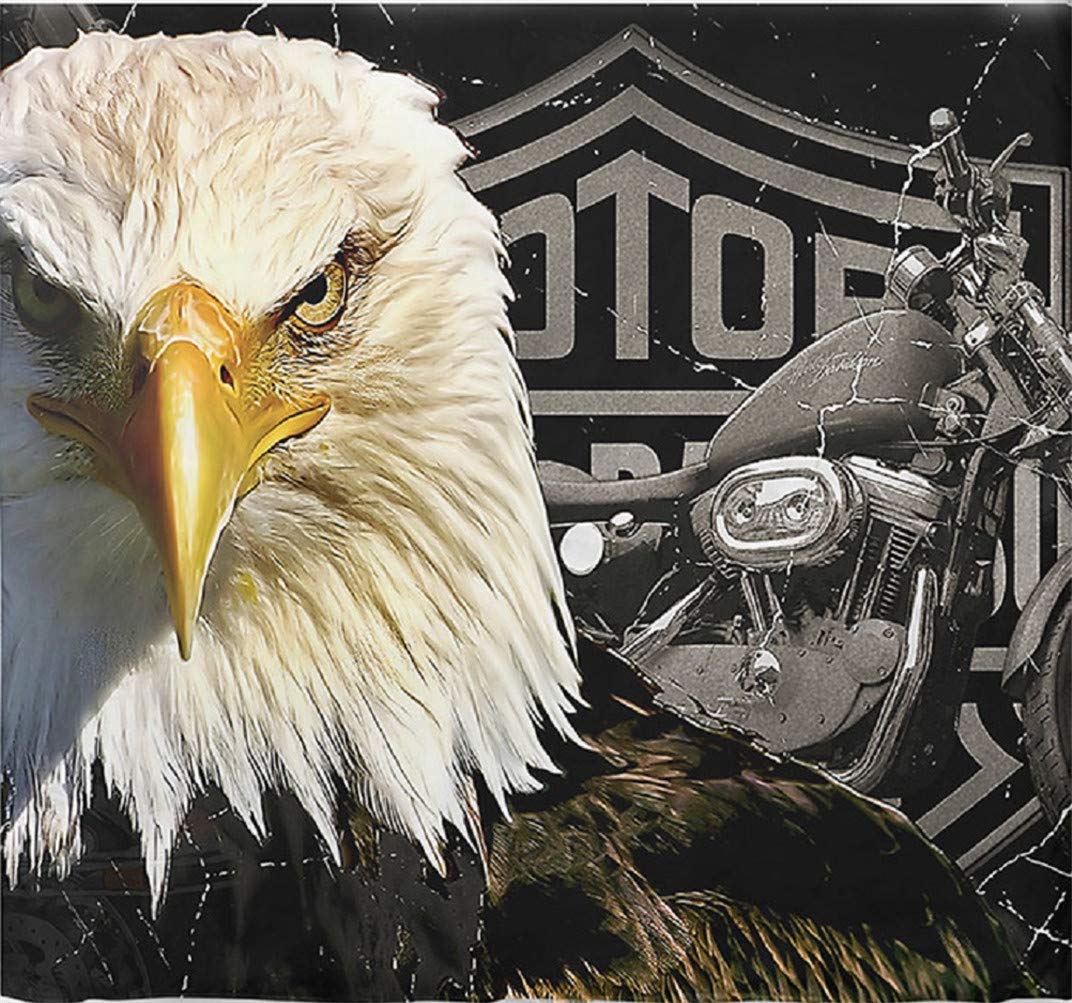Motorcycle Bald Eagle Duvet Cover Set - 3PCS for Queen Bed, Home Decor