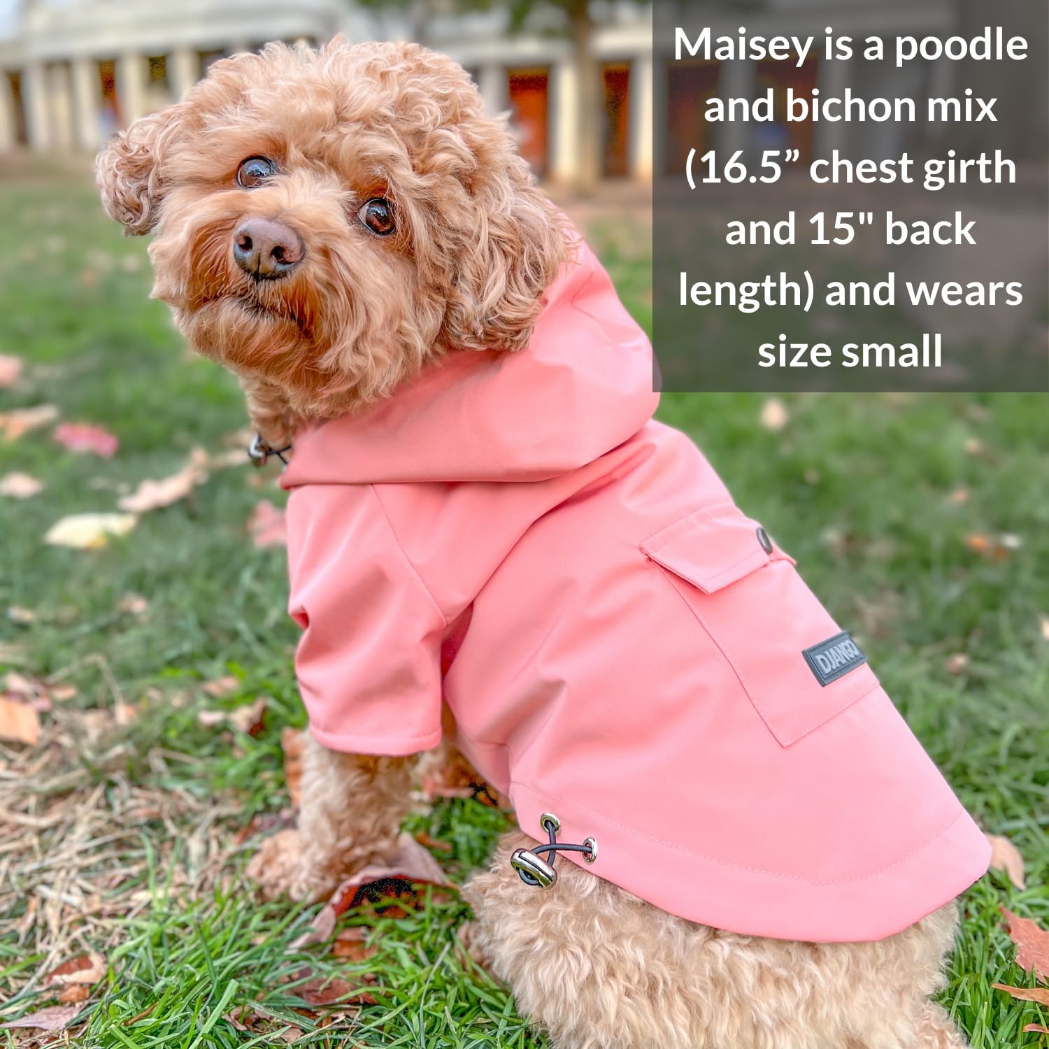 Waterproof Dog Jacket with Hood - Adjustable Lightweight Pink Coat for Small & Medium Dogs | DJANGO Highland Dog Jacket with Harness Hole, Cozy Lining & Back Pocket | Perfect for Winter Walks, Outdoor Adventures & Cold Weather Protection (Small, Pink)