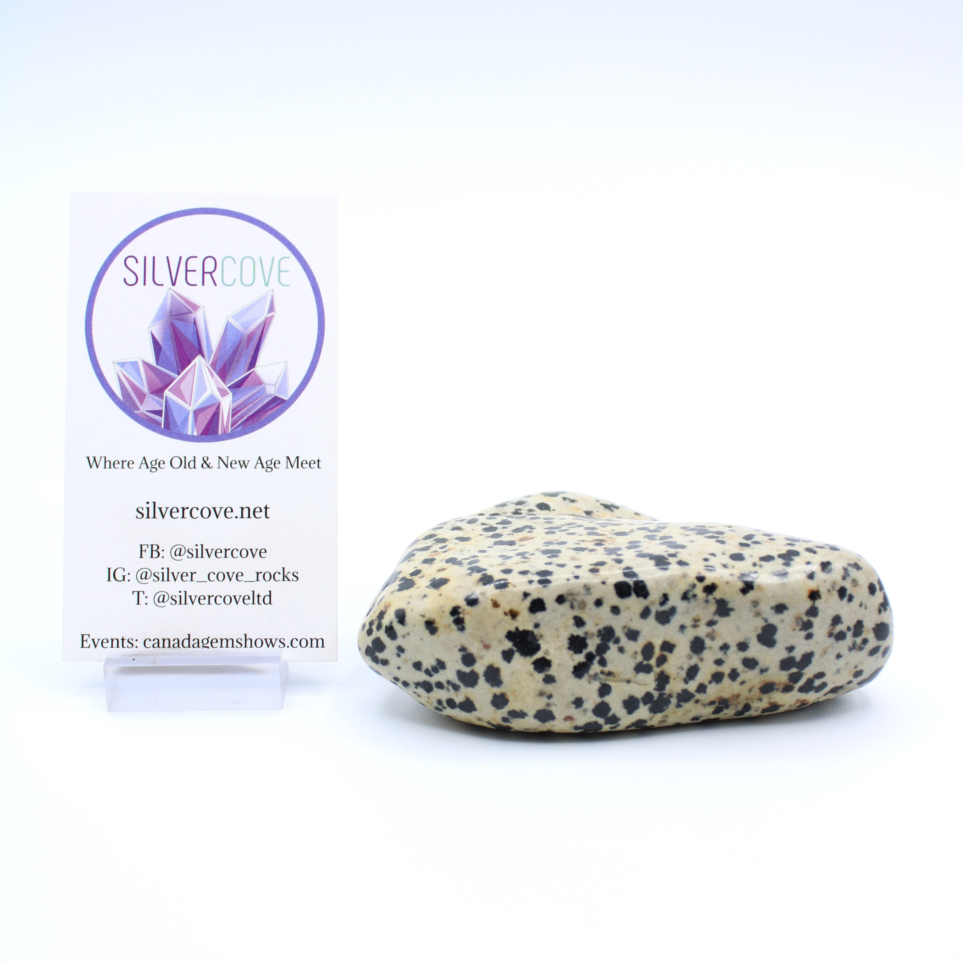Natural Dalmatian Jasper Free Form Stone - Healing Crystal for Meditation, Home Decor & Spiritual Gifts | Perfect for Yoga, Reiki & Positive Energy