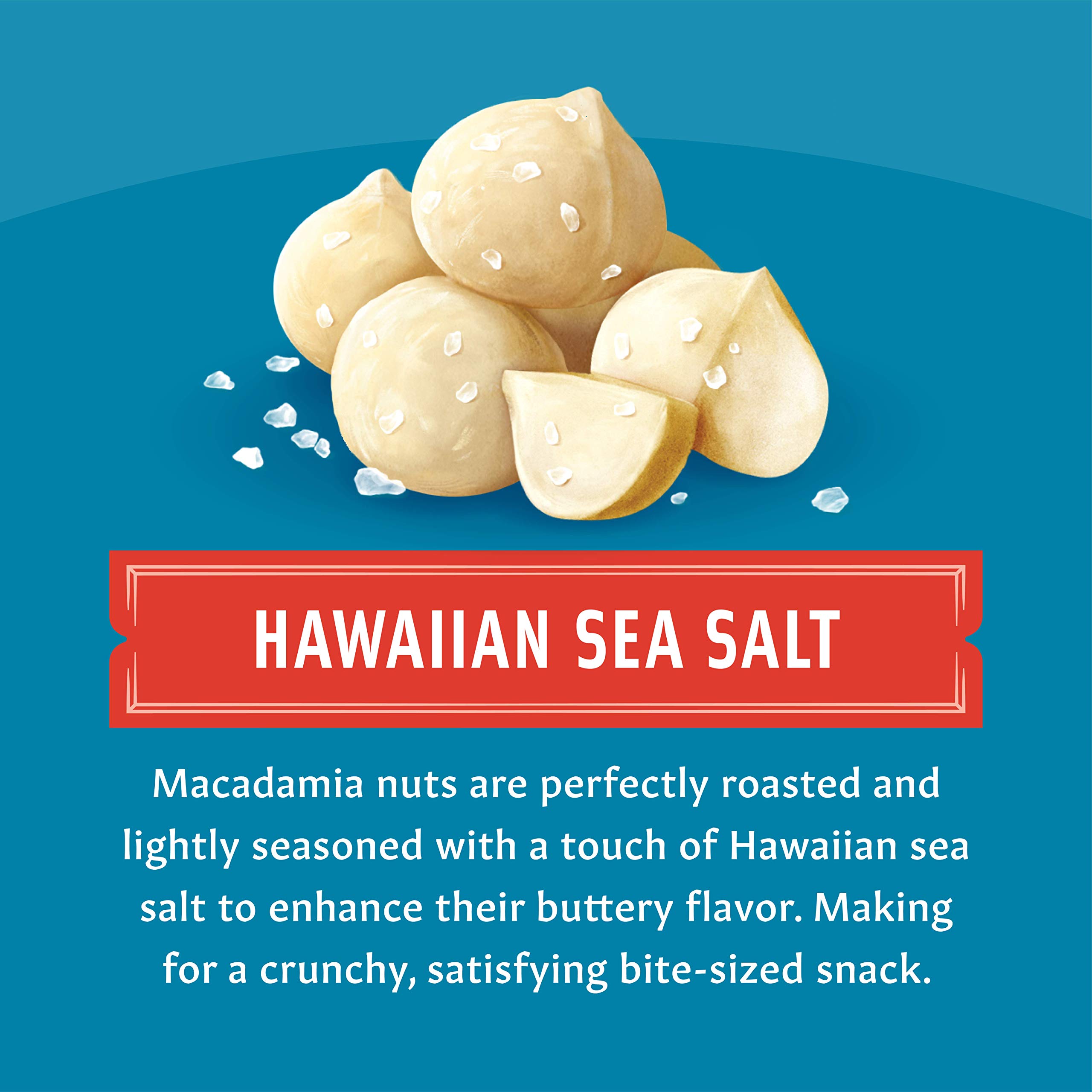 Premium Roasted & Salted Macadamia Nuts - 24 Pack of 0.5oz Resealable Pouches - Healthy Keto Snacks for Office, Travel & Gifts - Gluten-Free Hawaiian Nuts for Parties & Hiking