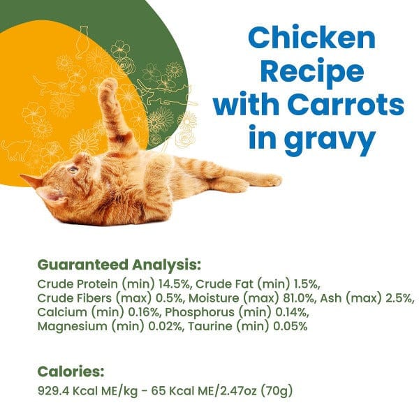 Almo Nature HQS Complete Chicken with Carrots in Gravy Canned Cat Food - Premium Grain-Free Wet Cat Food for Adult Cats, Rich in Protein - Perfect for Mealtime, Travel & Emergency Pet Food Storage