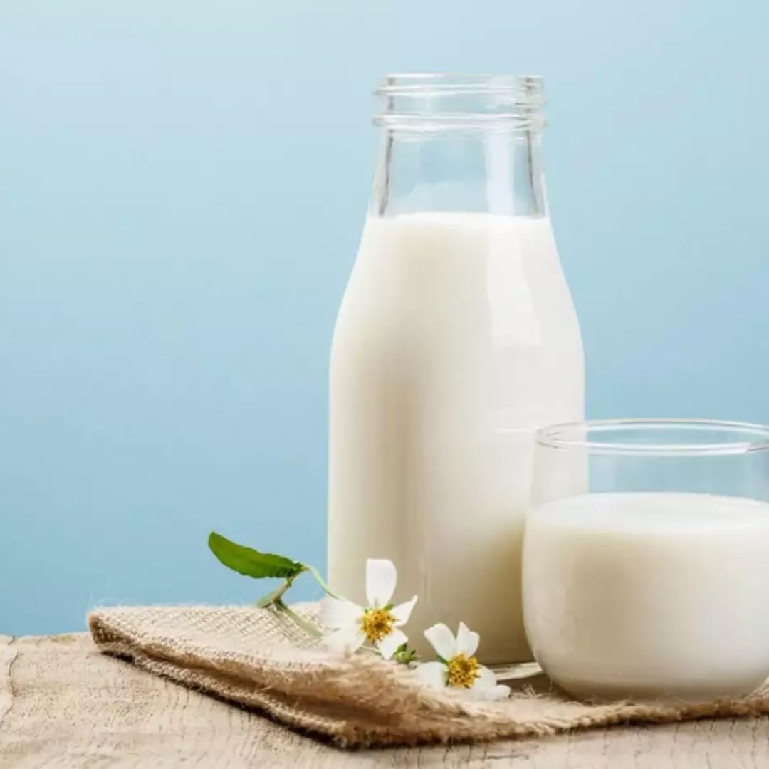 Mit Pufai Ultra-Pasteurized Homogenized Milk 3.8% Fat - 1000ml x 24 Pack (Shelf-Stable UHT Milk) - Perfect for Emergency Food Storage, Camping & Bulk Cooking