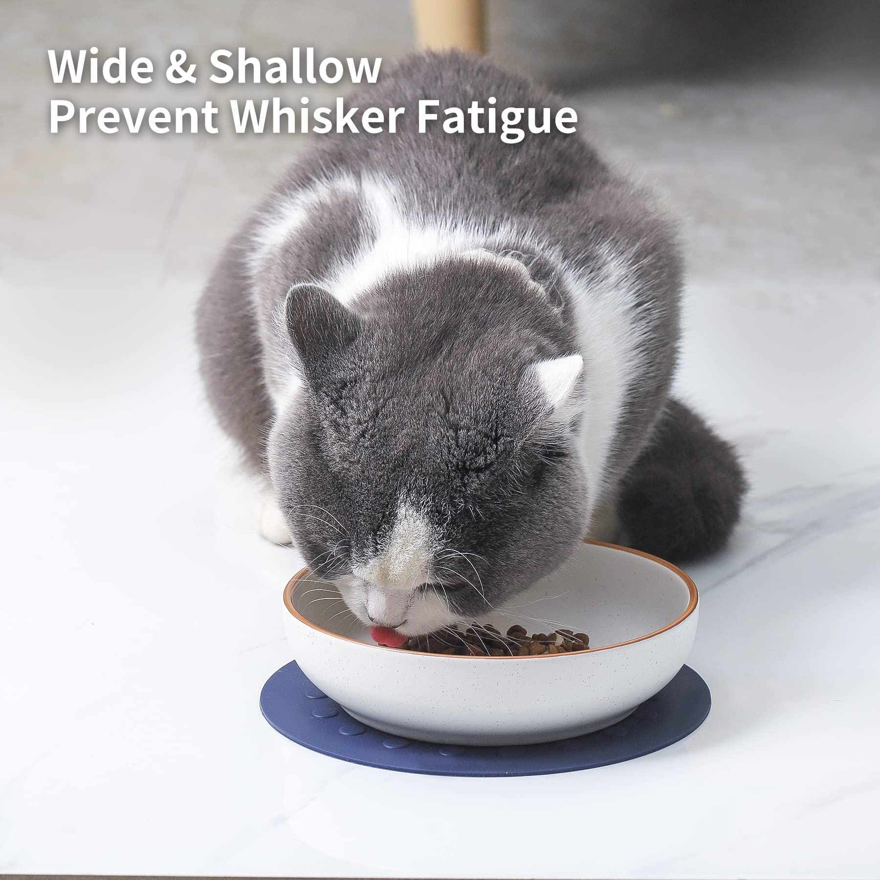 Howise 6 Inch Ceramic Cat Bowls with Non-Slip Mat - 3 Piece Cat Food and Water Dish Set - Wide Shallow Design for Whisker Fatigue Relief - Perfect for Kittens and Adult Cats - Ideal for Home, Kitchen or Pet Feeding Station (White)
