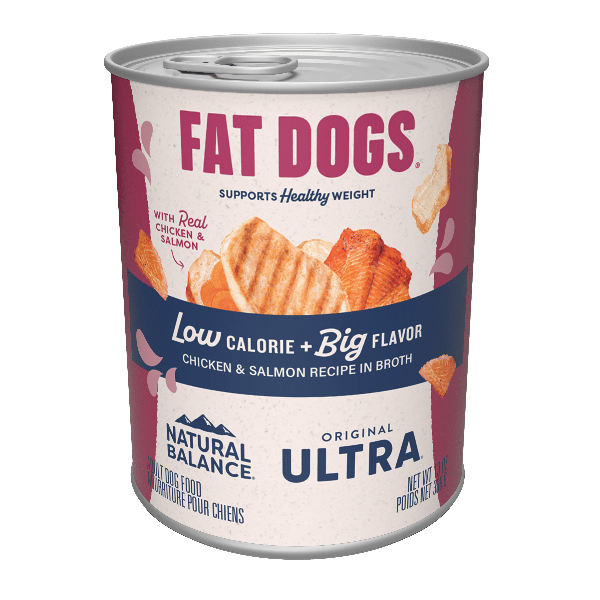 Natural Balance Fat Dogs Chicken & Salmon Recipe in Broth Canned Dog Food - High Protein, Grain-Free Wet Food for Overweight Dogs - Perfect for Weight Management & Mealtime Hydration