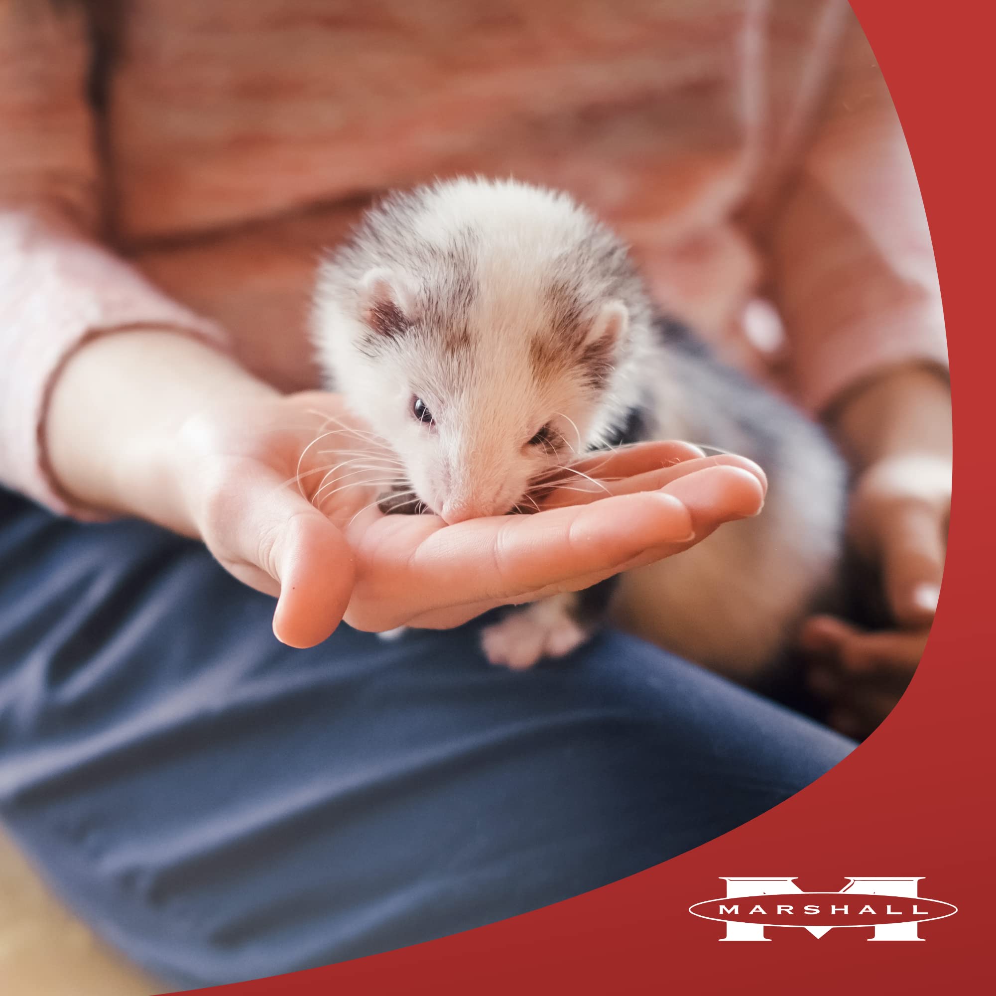Marshall Pet Products RA Ferret Extreme Munchy Minnow Treat - 1 oz | Natural, Nutritious & Tasty Ferret Snacks for Dental Health & Energy Boost | Perfect for Training Rewards & Playtime Treats