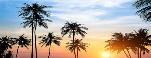 06-tropics