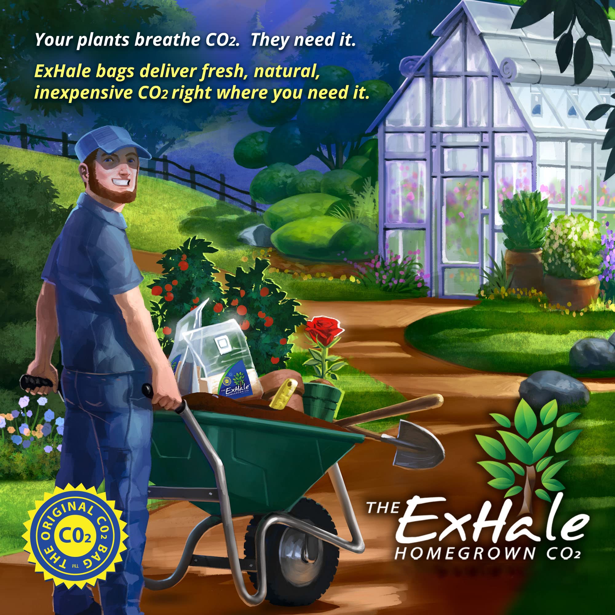 Exhale Homegrown CO2 365 - Self-Activated CO2 Bags for Indoor Plants (4 Pack, 4lbs) - Perfect for Grow Tents, Hydroponics & Greenhouses - Enhances Plant Growth in Indoor Gardens & Grow Rooms