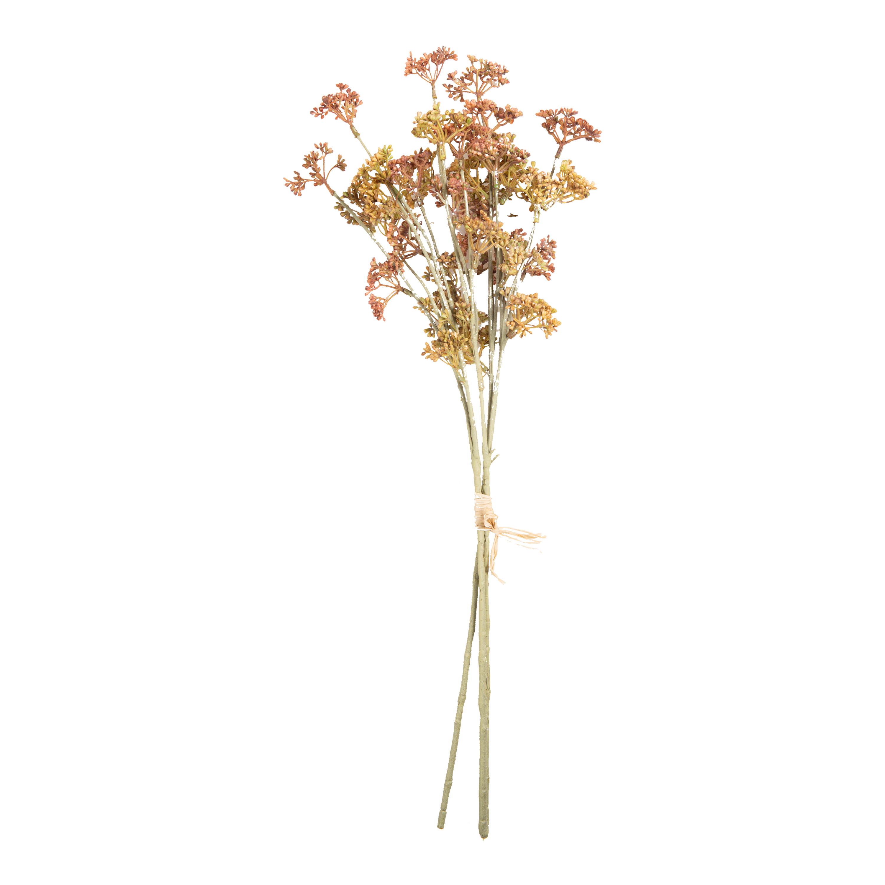 Premium Meadow Sedge Stems - Natural Dried Grass Stems for Home Decor, Floral Arrangements & DIY Crafts - Perfect for Rustic, Boho & Farmhouse Style Decorations