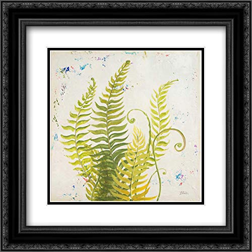 Pinto, Patricia 15x15 Inch Black Ornate Framed Double Matted Museum Art Print - Nice Ferns II Botanical Wall Decor for Living Room, Bedroom & Office