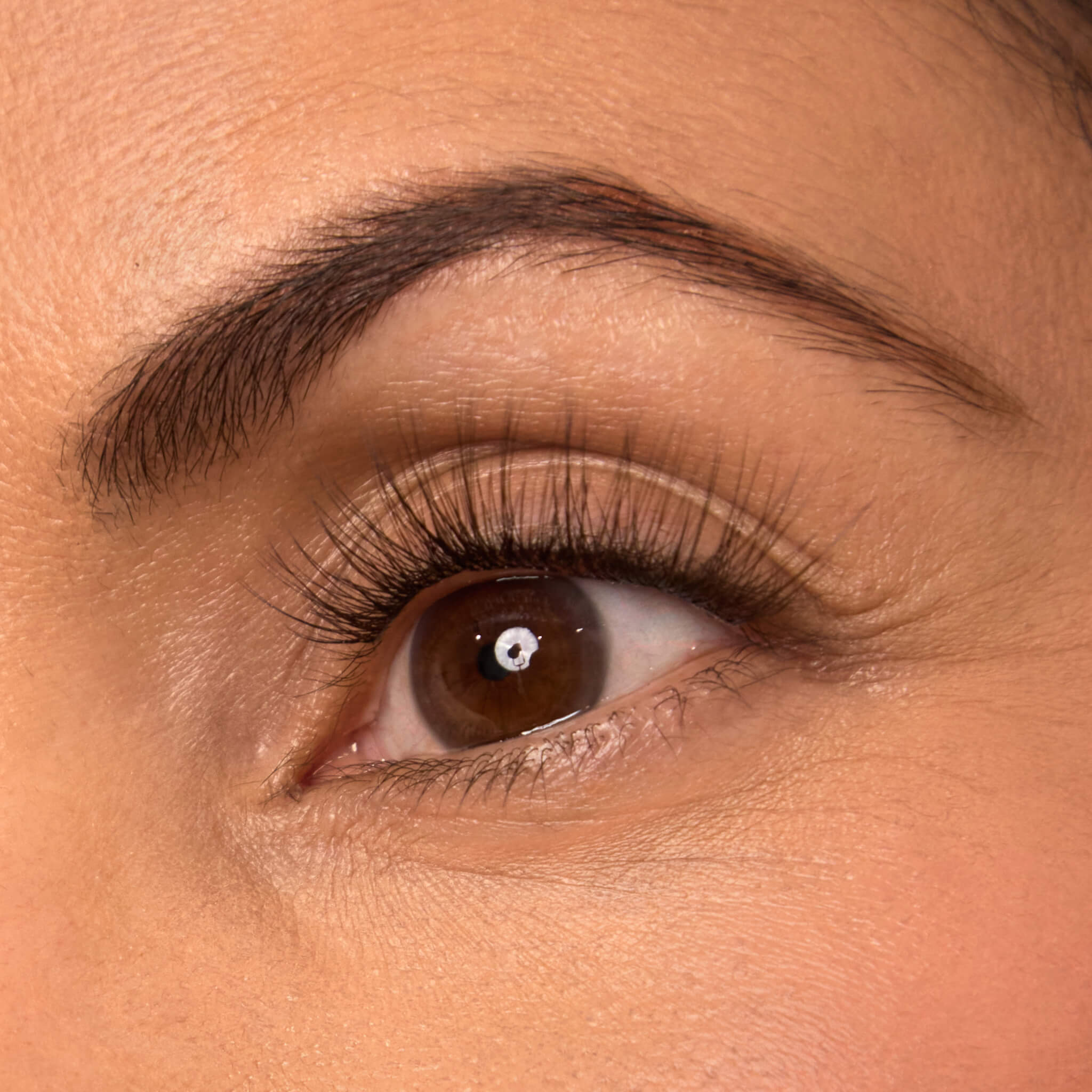 Plus+ Gossamer® Lash - Natural Looking False Eyelashes for Dramatic Volume & Length | Perfect for Weddings, Parties & Everyday Glam