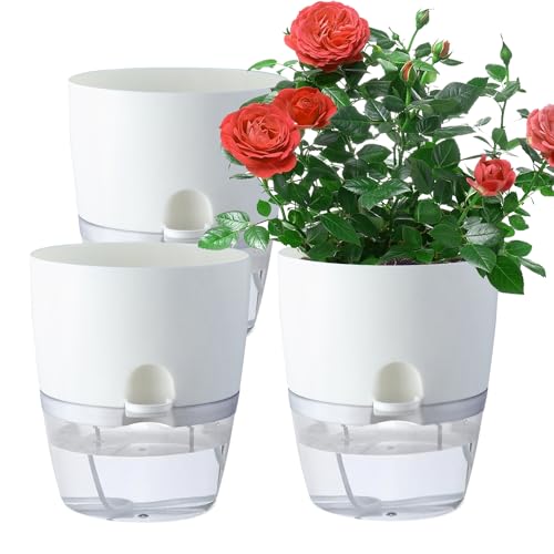 White 3pcs