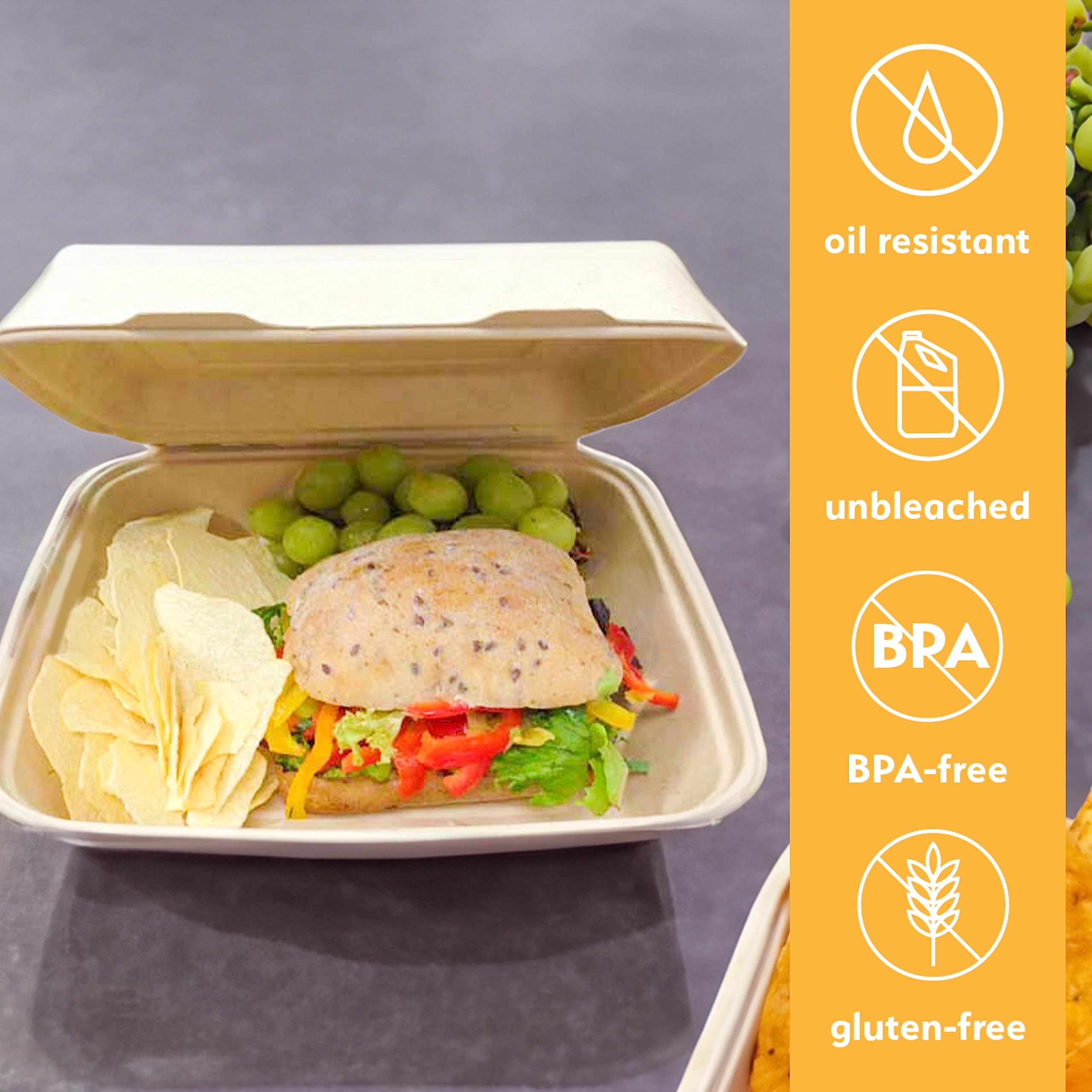 Eco-Friendly 8x8 Inch Compostable Food Containers with Lids - 200 Pack Biodegradable Takeout Boxes for Restaurants, Catering & Picnics | Heavy-Duty Unbleached Disposable Containers by Earth's Natural Alternative