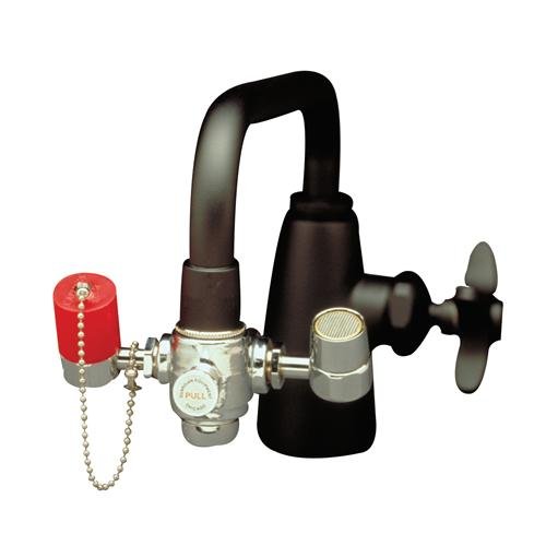 WaterSaver EyeSafe EW101 Faucet-Mounted Eyewash Unit - Adjustable Aerated Outlet Heads, Forward & Inward Angle - Ideal for Laboratories, Workshops, and Emergency Eye Wash Stations