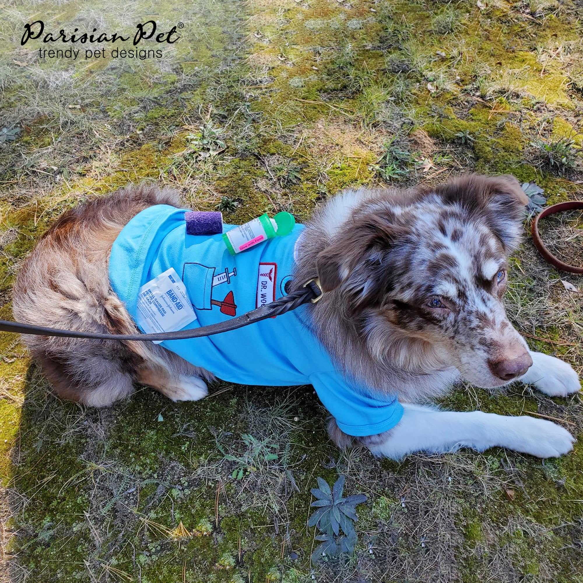 Parisian Pet Doctor Woof Dog Shirt - Embroidered Dog Pirate Costume - 100% Cotton & Polyester Doctor Outfit for Small Dogs - Blue Funny Sleeved Dog Clothes - Pet Costumes for Halloween, Dress Up Parties & Photo Shoots