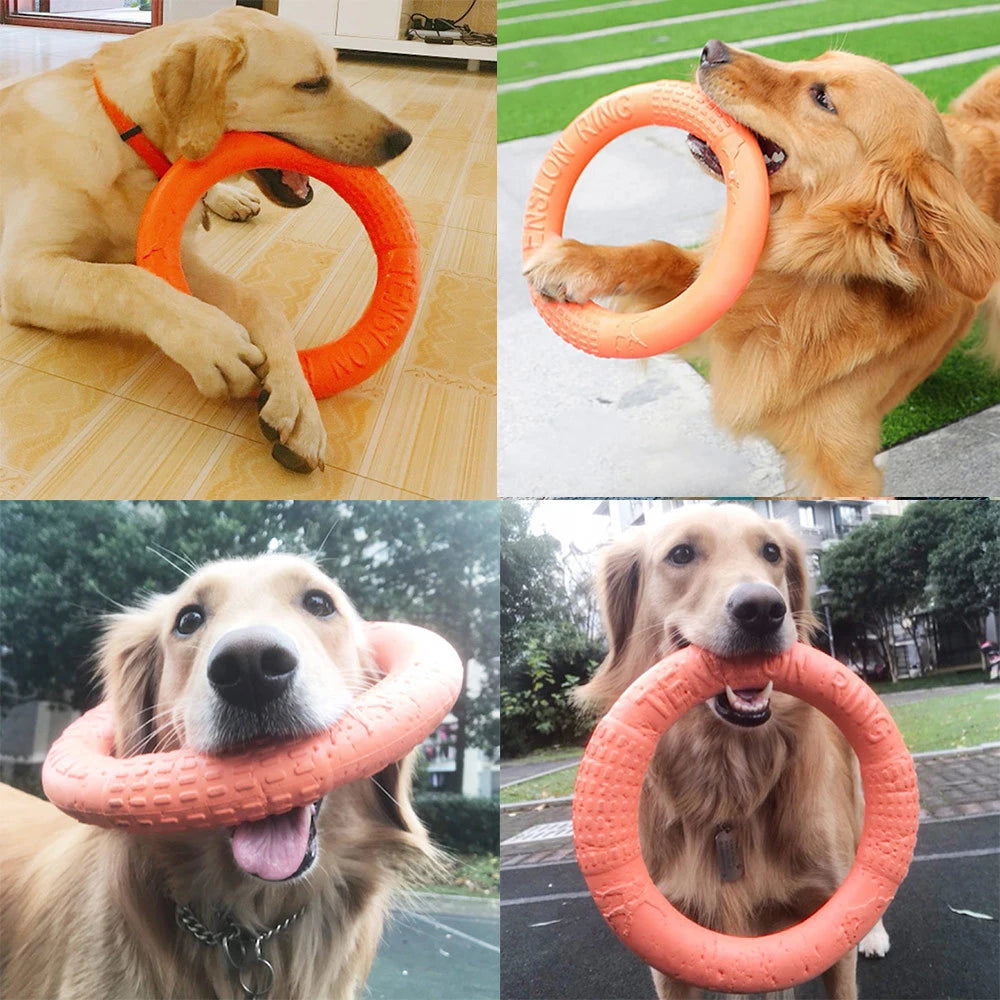 Durable Dog Chewing Ring - Tough Chew Toy for Aggressive Chewers | Interactive Pet Toy for Puppies & Large Dogs | Perfect for Teething, Boredom Relief & Dental Health