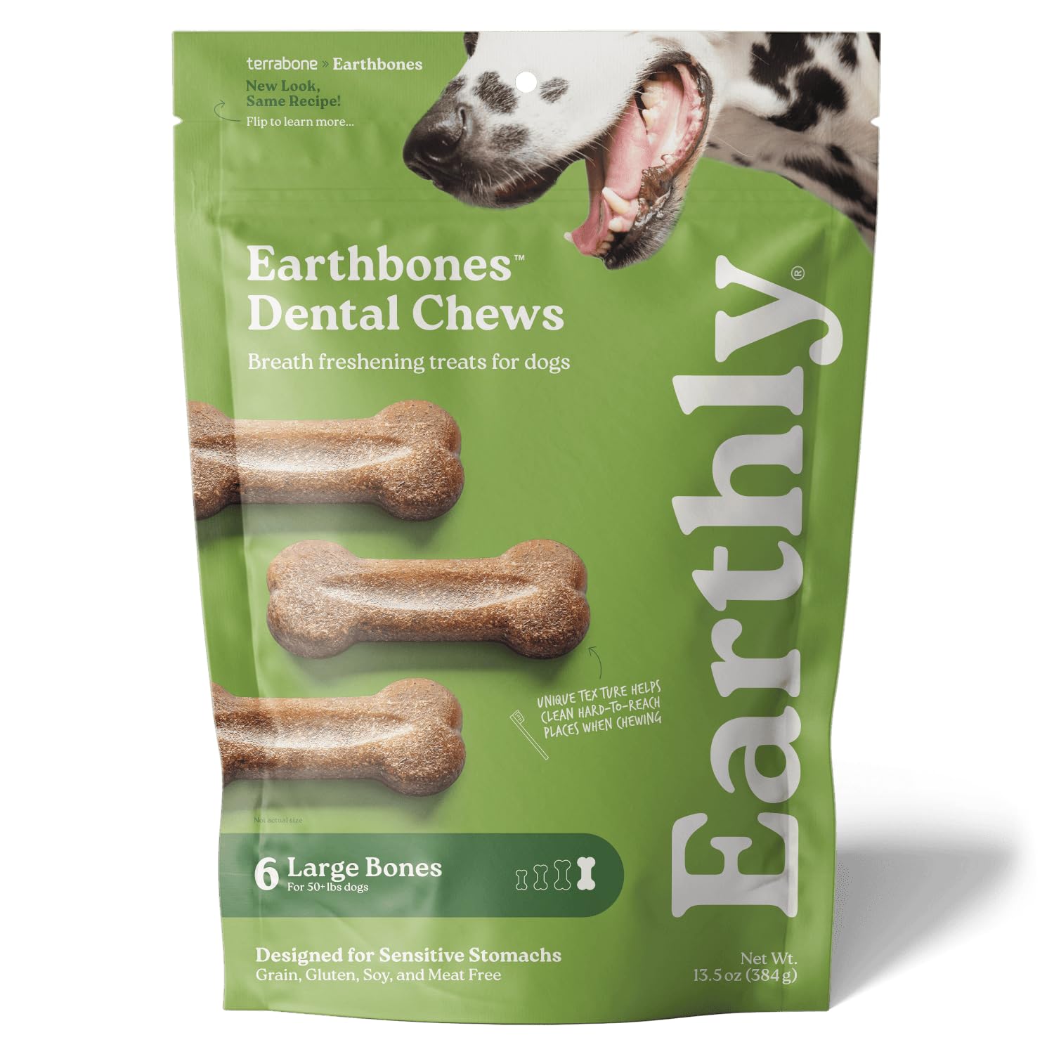 Presidio Earthbones (Formerly Terrabones) Dental Chews for Dogs - Natural Teeth Cleaning Treats for Large Breeds, 6 Count - Promotes Oral Health & Fresh Breath for Daily Dental Care