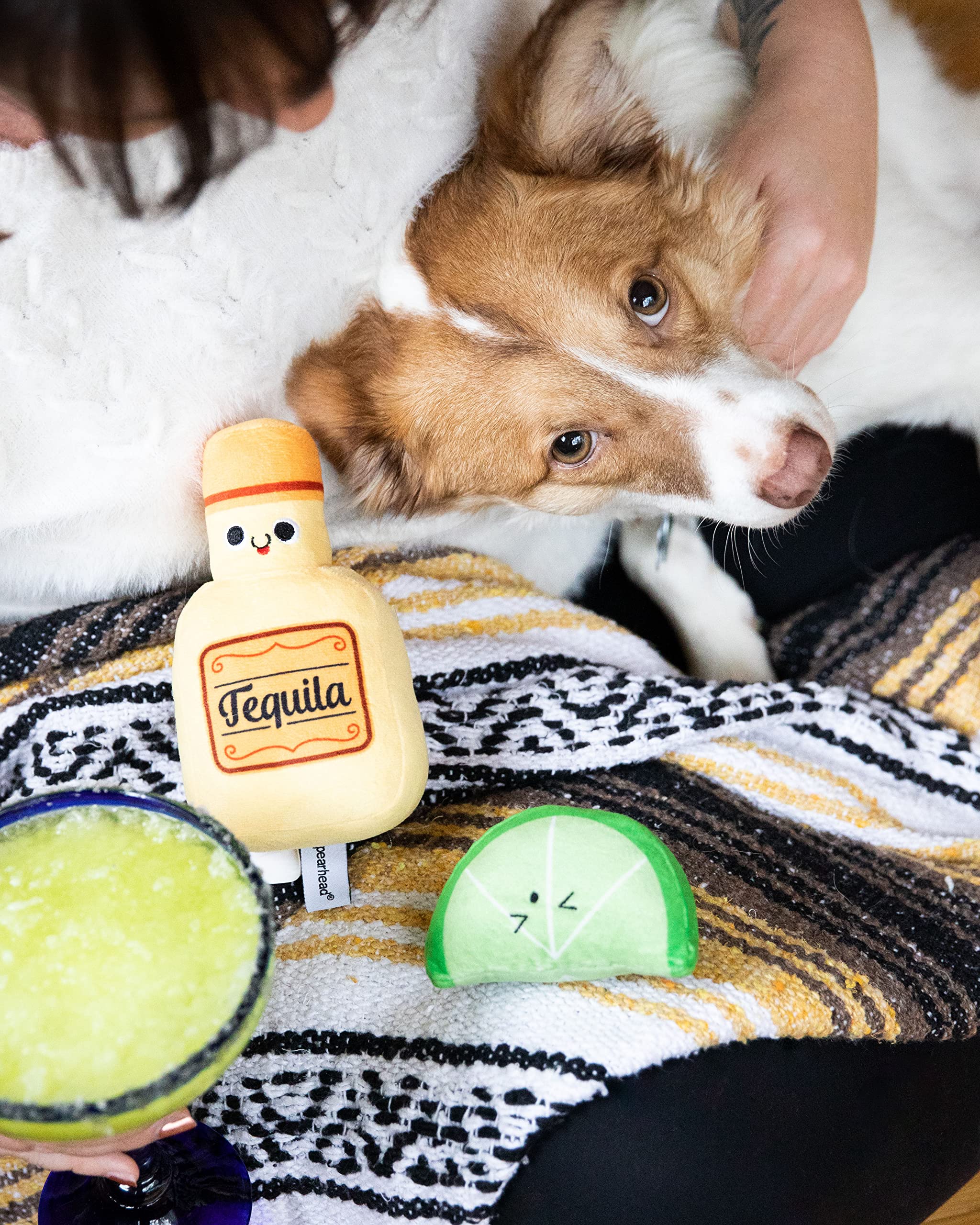 Pearhead Plush Squeaker Dog Toys & Cat Teaser Toys Set - Interactive Pet Play Toys for Dogs and Cats - Perfect for Training, Bonding & Playtime at Home or Outdoors