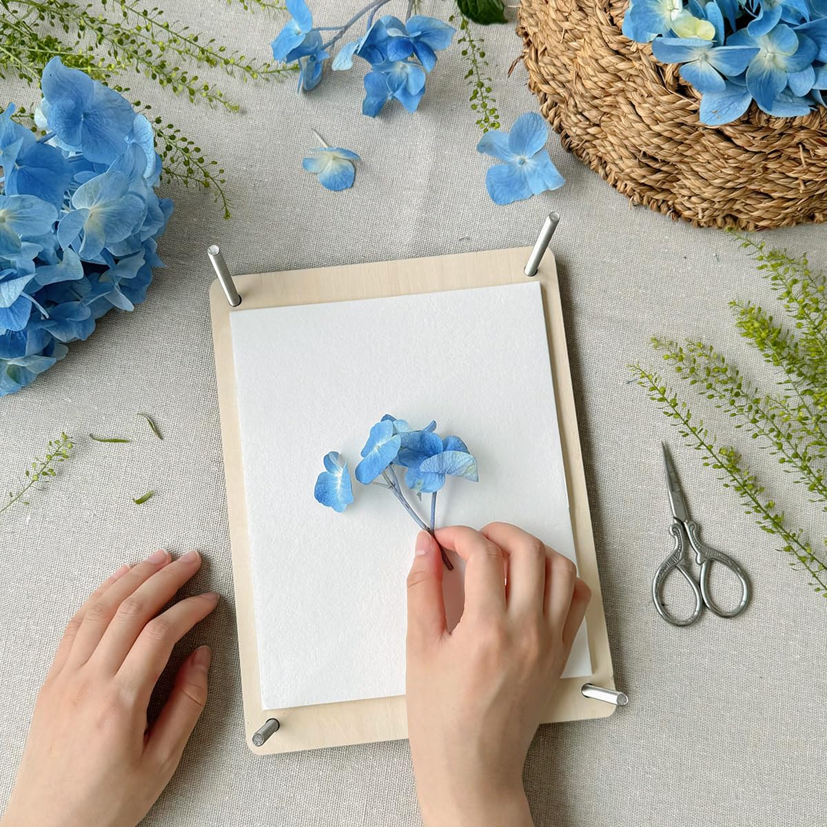 20 Sheets A4 Size Blotting Paper for Flower Pressing Kit - Large Absorbent Herbarium Paper for Drying Flowers, Botanical Specimen Preservation & DIY Craft Projects - Perfect for Adults, Artists & Nature Enthusiasts (20 White Sheets) - Ideal for Wedding Bouquet Preservation, Scrapbooking & Botanical Art Projects