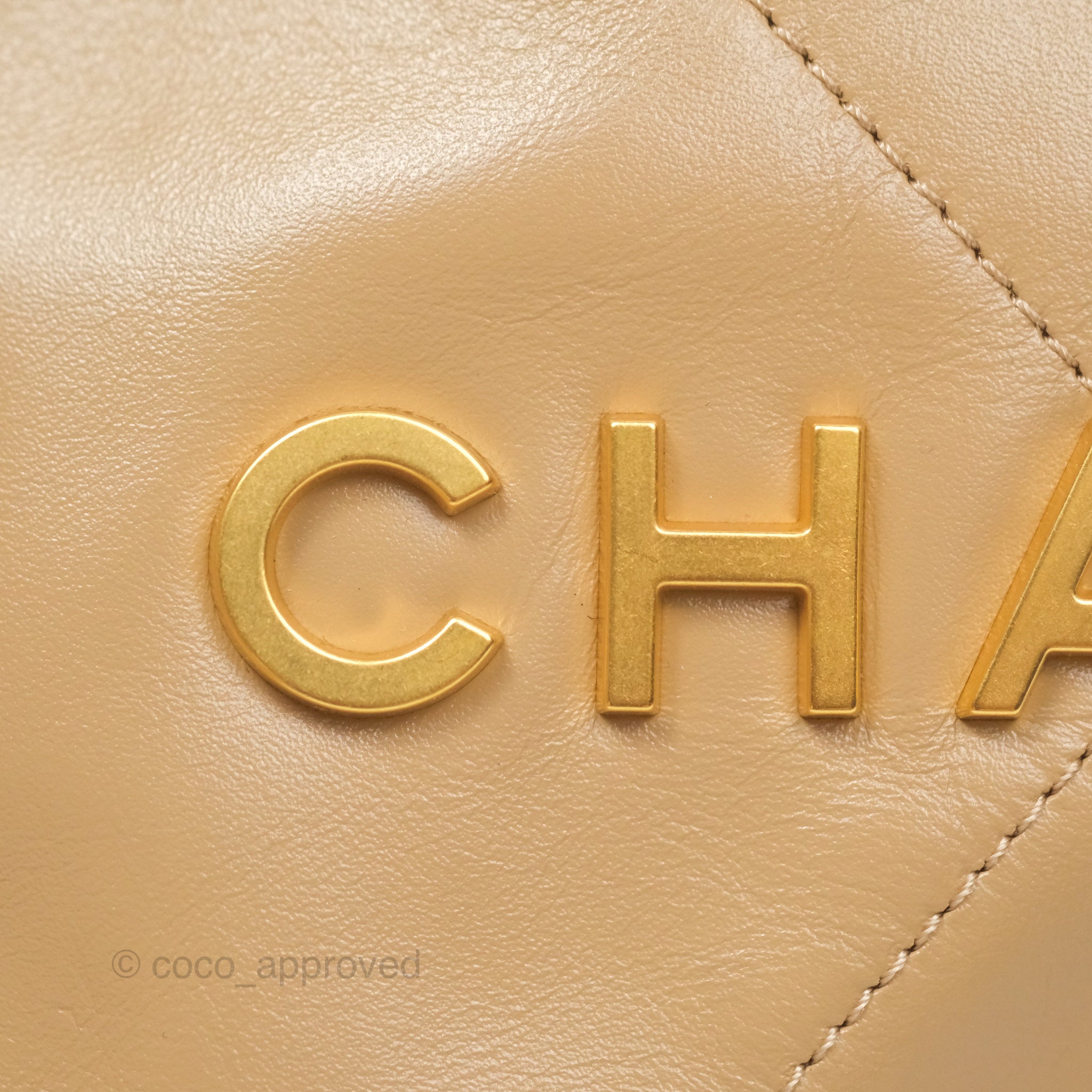 Chanel 22 Mini Bag in Beige | Shiny Crumpled Calfskin Leather | Luxury Crossbody Purse for Women | Perfect for Date Night & Evening Events
