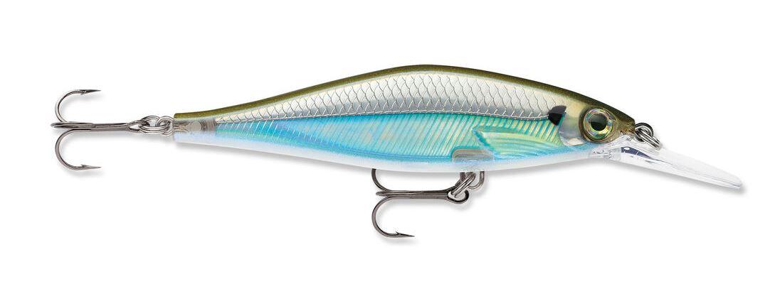 Moss Back Shiner