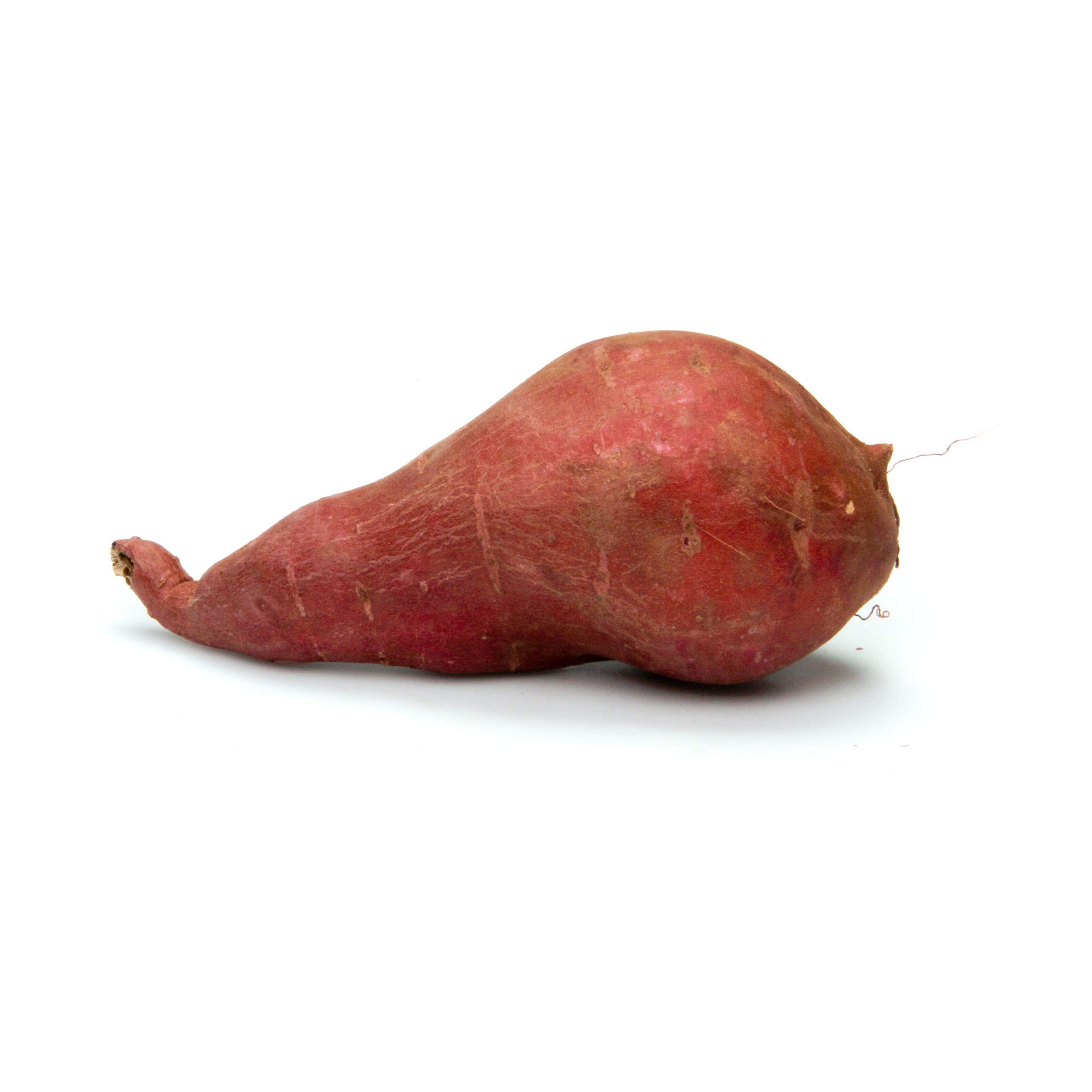 Organic Red Sweet Potato - Fresh, Nutrient-Rich, Non-GMO - Perfect for Roasting, Baking, or Healthy Snacks