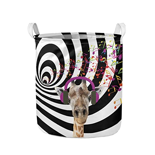 Music Giraffe Laundry