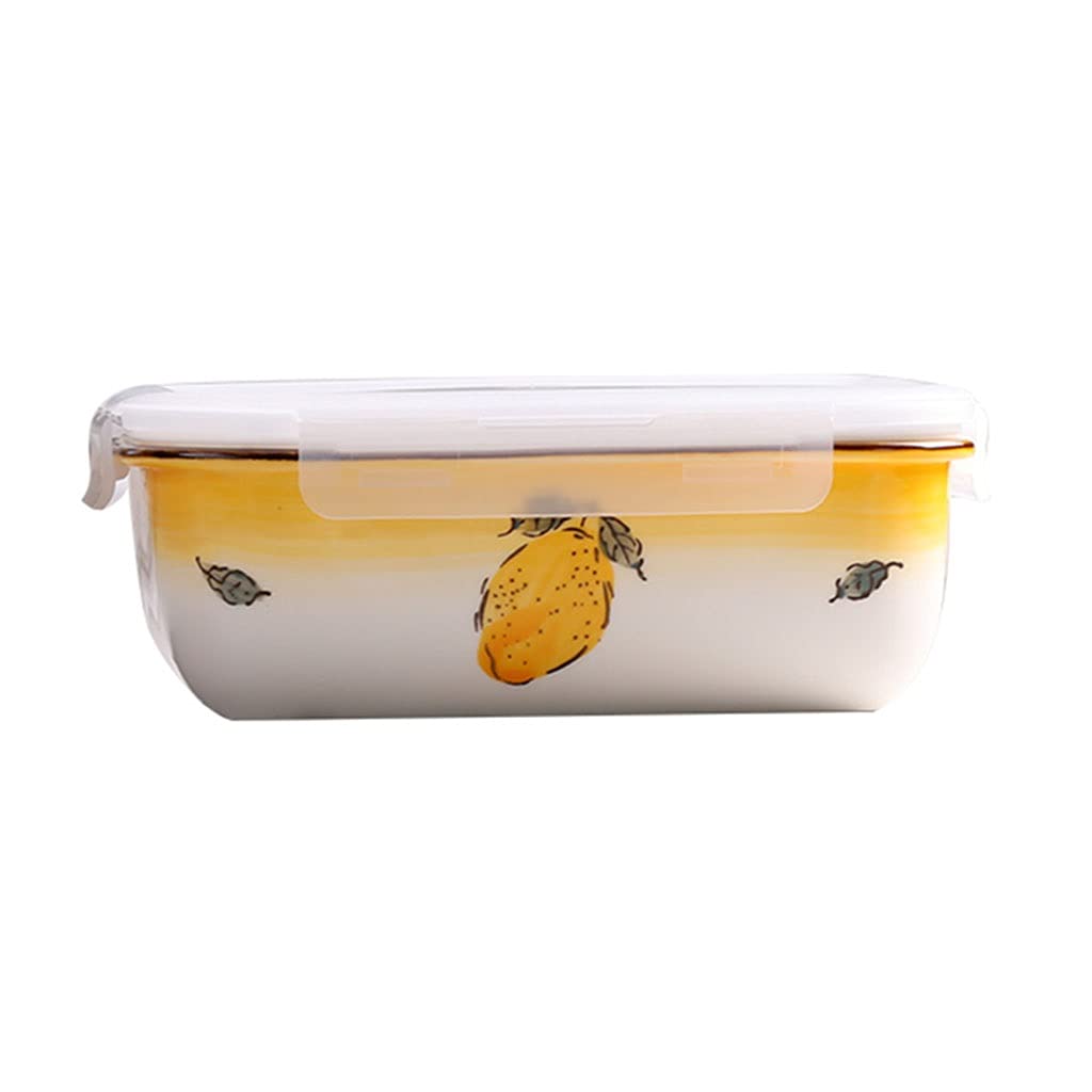 Insulated Divided Lunch Box Set - Large Capacity Compartmentalized Bento Box for Adults & Kids, Microwave Safe (20.5x15.3x6.8cm) - Perfect for Office, School, Picnics & Travel - Color B
