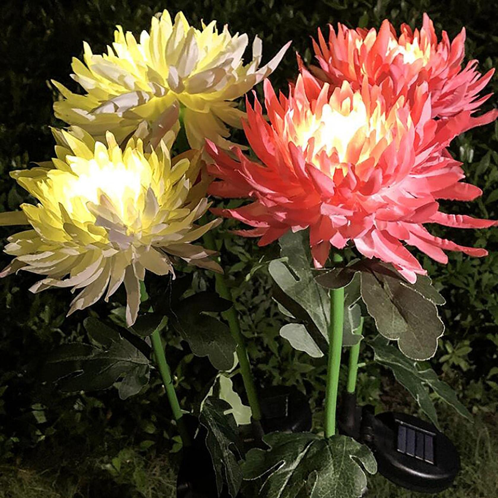 Solar Powered LED Chrysanthemum Flower Stake Lights - 3PC Set Waterproof Outdoor Garden Decor for Pathway, Patio, Yard & Landscape Lighting | Perfect for Evening Garden Parties, Romantic Backyard Ambience & Holiday Decorations