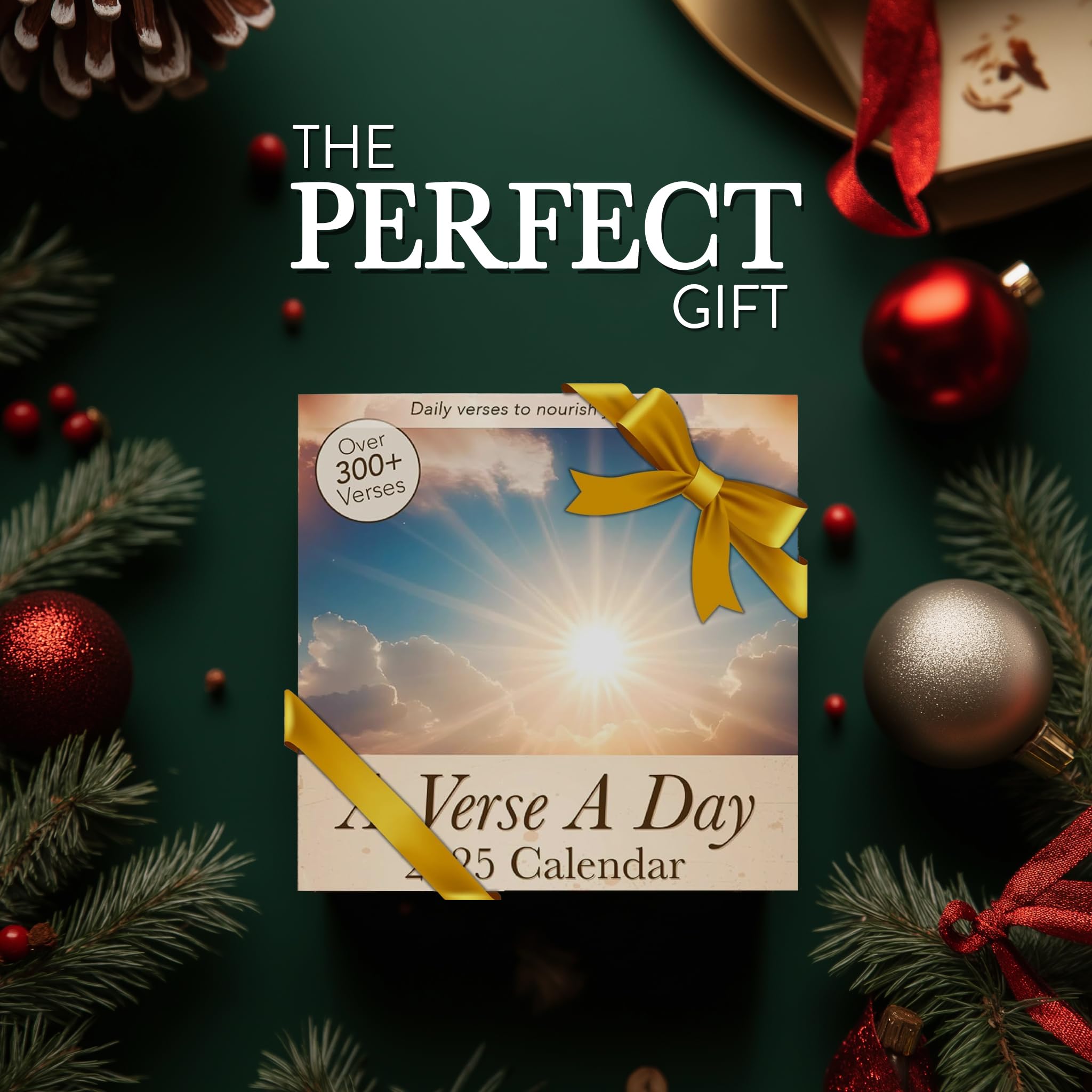 2025 Daily Bible Verse Calendar | 300+ Inspirational NIV Bible Verses for Christian Devotionals - Motivational Scripture for Men & Women - Perfect for Morning Meditation & Bedtime Reflection