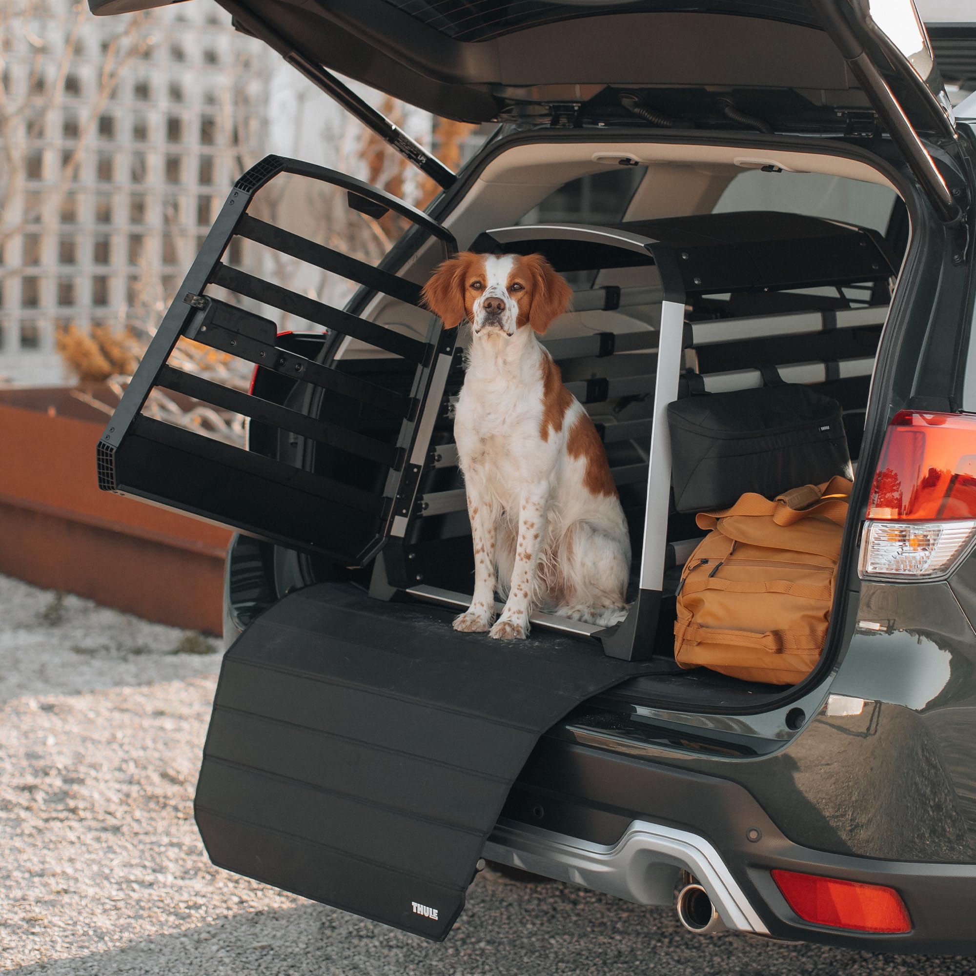 THULE Allax Dog Crate Bumper Protector - Durable Pet Crate Accessory for Car Travel & Outdoor Adventures