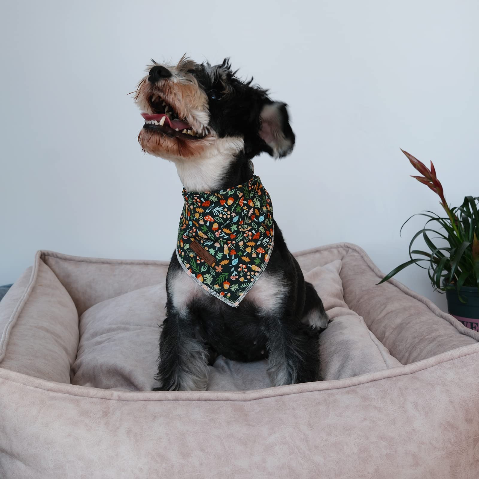 UP URARA PUP Fall Dog Bandana - Soft Cotton Triangle Scarf for Small & Medium Dogs - Cute Pet Kerchief for Puppies, Cats, Boys & Girls - Perfect for Autumn Walks, Photo Shoots & Seasonal Pet Fashion