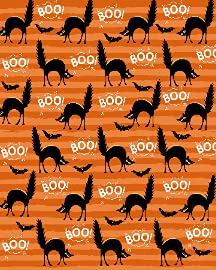 Boo Cat