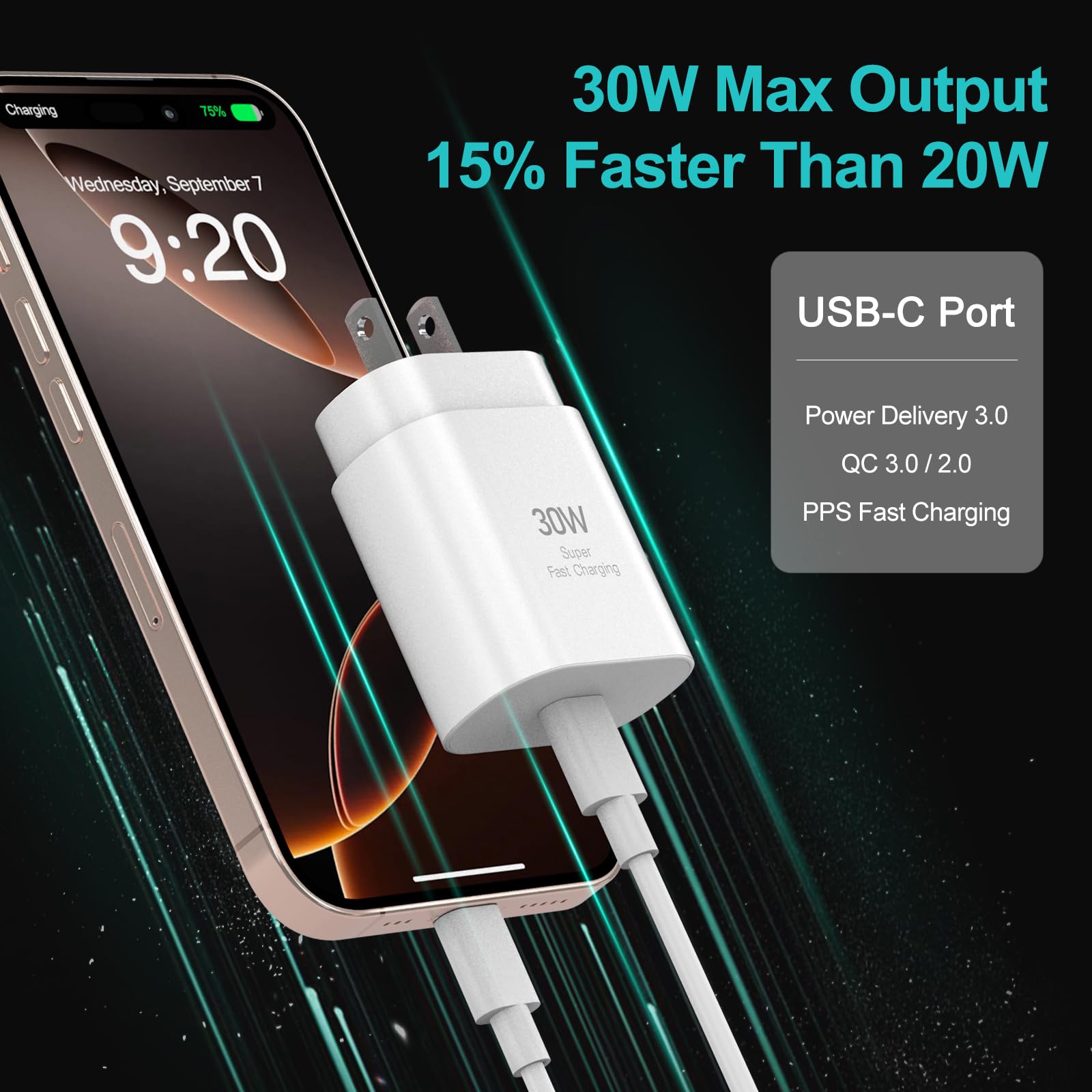 30W USB C Fast Charger for iPhone 16/15 Pro Max - Super Fast Charging Cable 10FT 2-Pack - Compatible with iPhone 16/16 Pro Max/15/15 Pro Max/Plus, iPad Pro/Air/Mini 12.9/11 - Perfect for Home, Office & Travel Charging