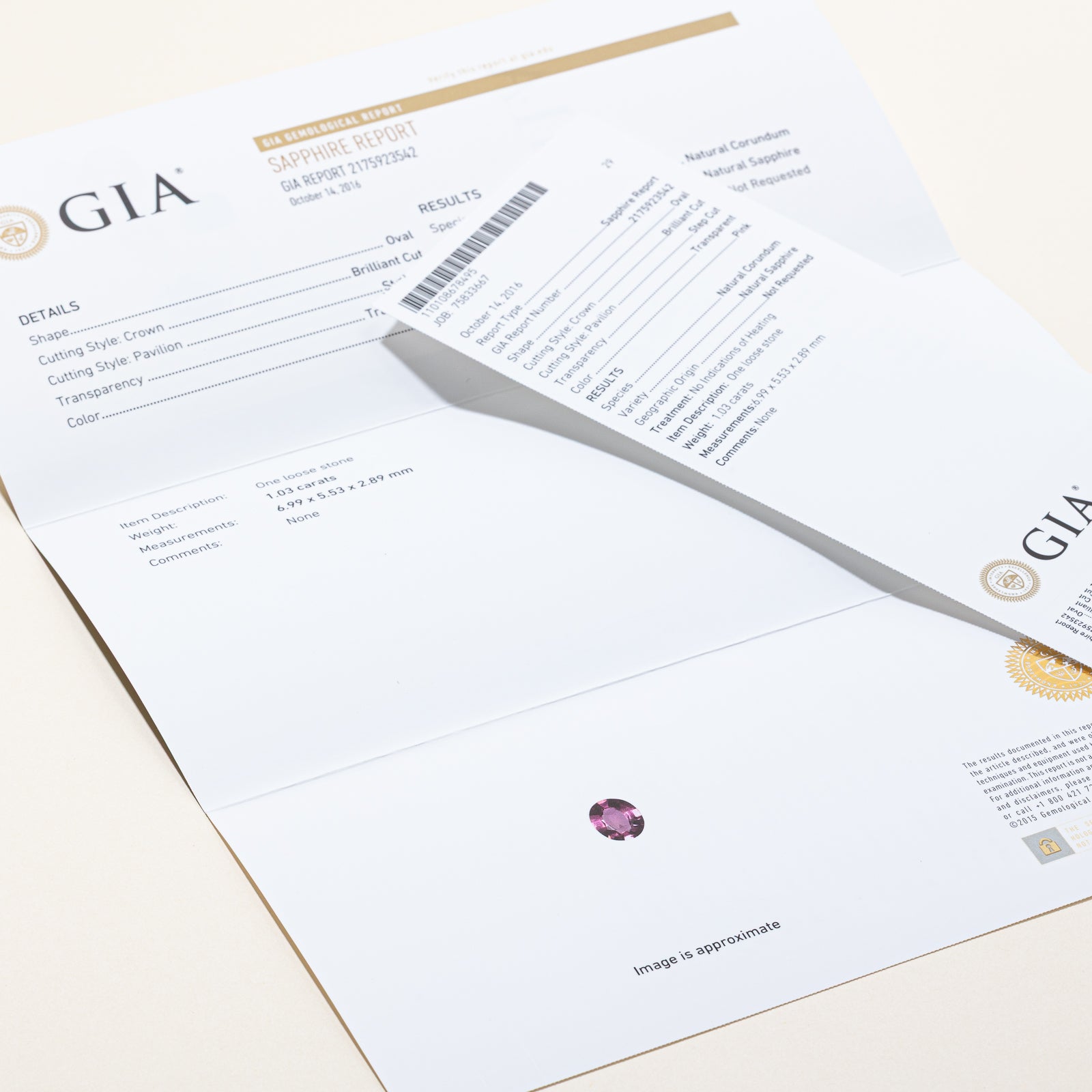 GIA Certified Natural Unheated Pink Sapphire and Diamond Pendant Necklace | 1.03ct Oval Sapphire with 0.06ctw Diamond Accents | 14K White Gold Chain | Elegant Gift for Women, Anniversary, Birthday & Special Occasions