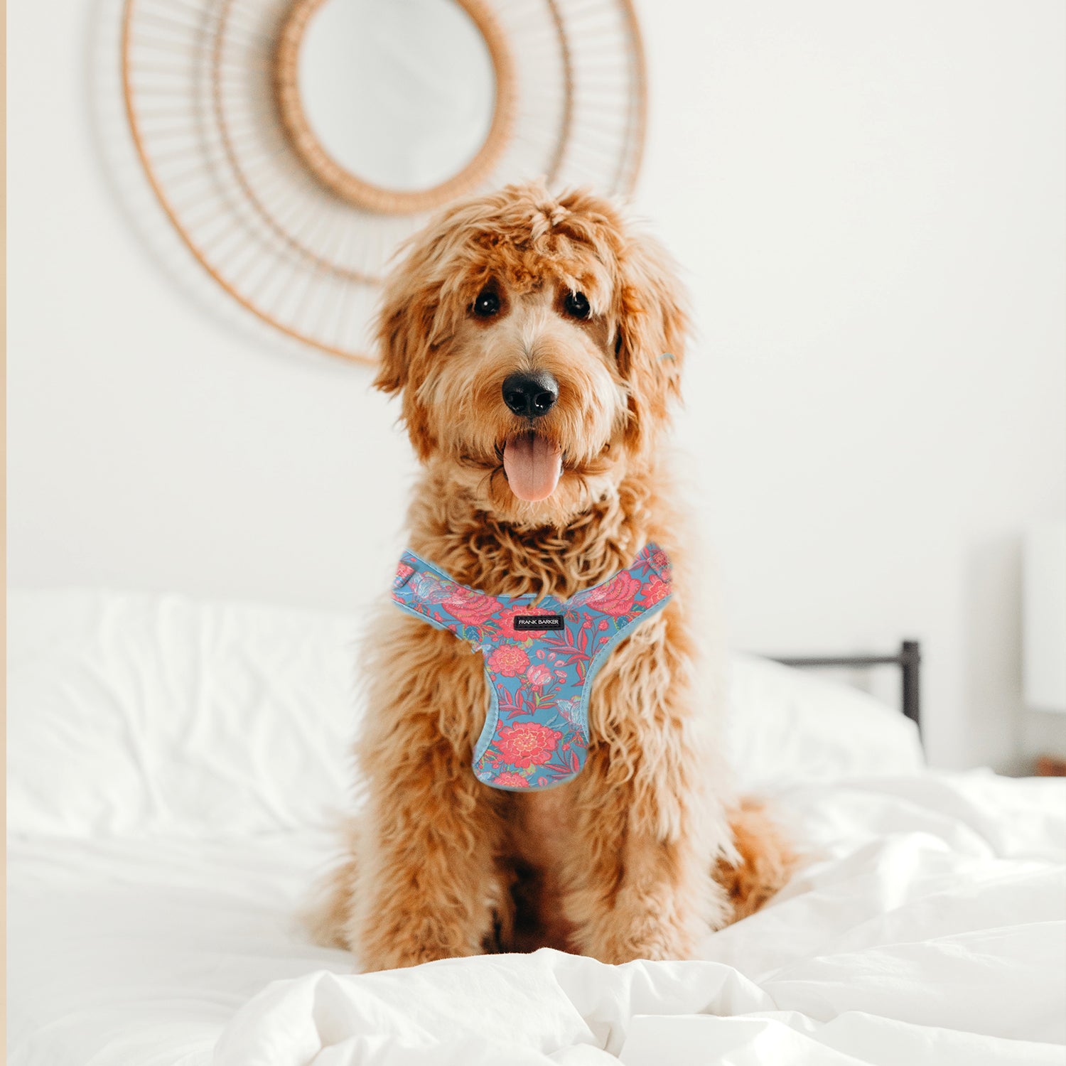 Frank Barker Harness Floral Dog Collar - Adjustable Pet Harness with Floral Pattern for Small Medium Dogs, Perfect for Walks, Training & Outdoor Adventures