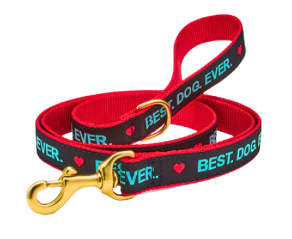Best Dog Ever Dog Lead - Durable & Adjustable Dog Leash for Small, Medium & Large Dogs - Perfect for Walking, Training & Outdoor Adventures
