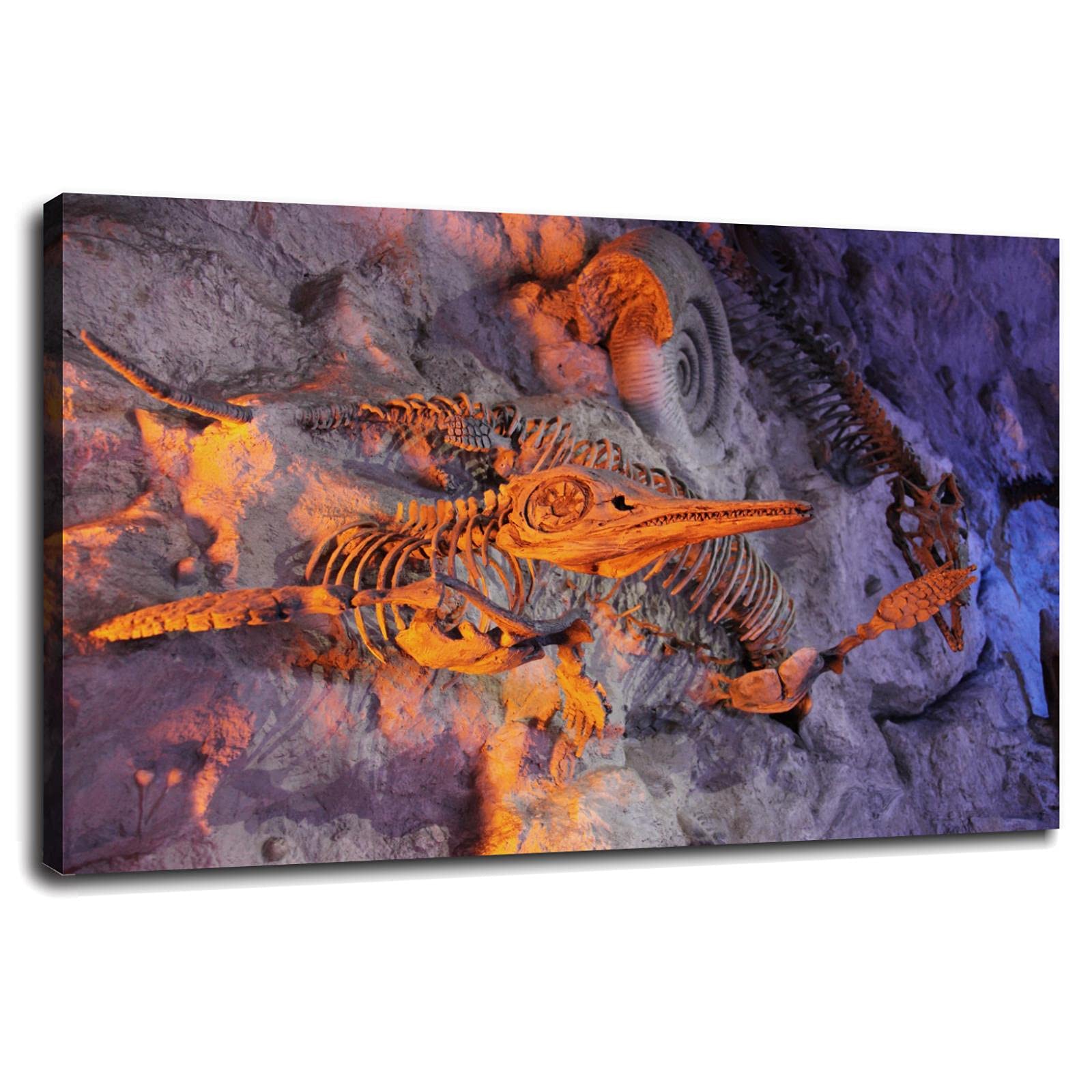 Ancient Marine Animal Fossils Wall Art Canvas Print - 36x24 Inch Framed Poster for Home & Office Decor | Living Room, Bedroom, Study Room Wall Decor