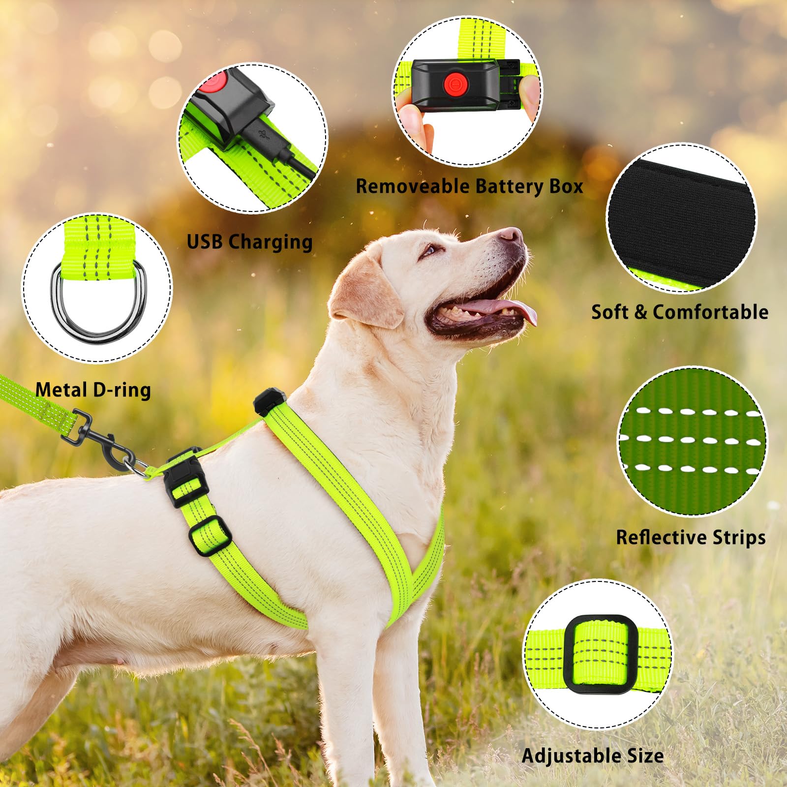Rechargeable LED Dog Harness with Reflective Strips - Adjustable Glowing Dog Vest for Small Medium Large Dogs - Perfect for Night Walking, Jogging & Outdoor Safety