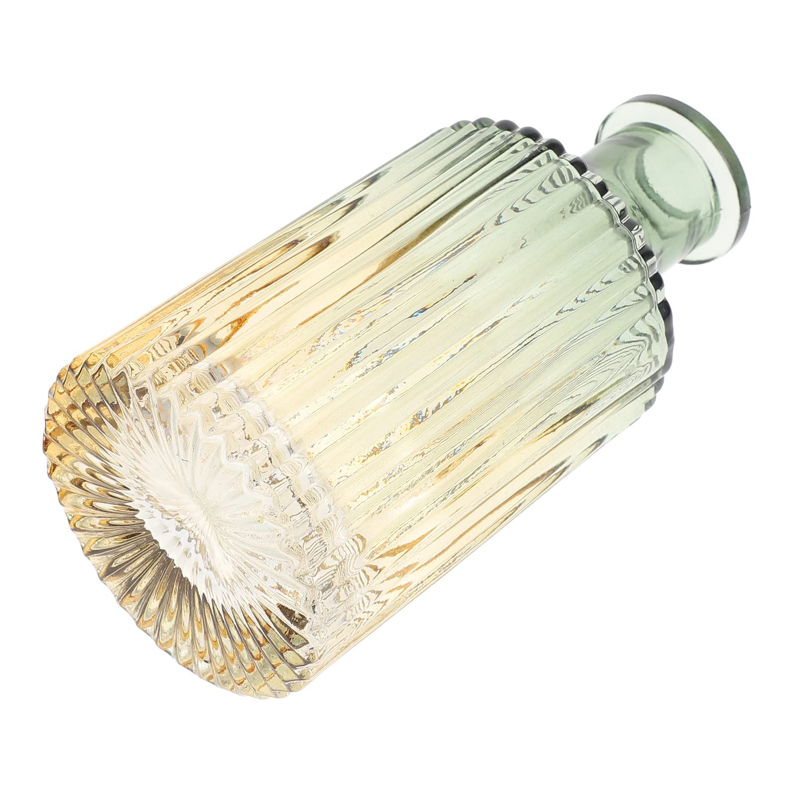 FOMIYES Clear Glass Hydroponic Vase for Flower Arrangement - Modern Home Decor, Plant Propagation, and Table Centerpiece